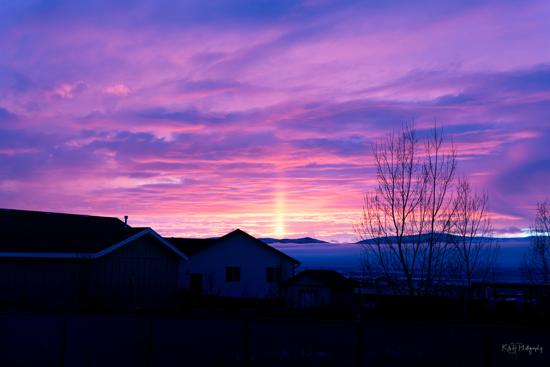 SUNSET FROM THE BACK YARD 1-28-20